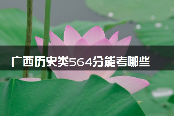 广西历史类564分能考哪些大学 2025考生稳上的大学名单