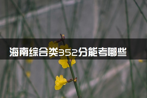 海南综合类352分能考哪些大学 2025考生稳上的大学名单