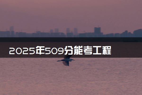 2025年509分能考工程力学专业吗 509分工程力学专业大学推荐