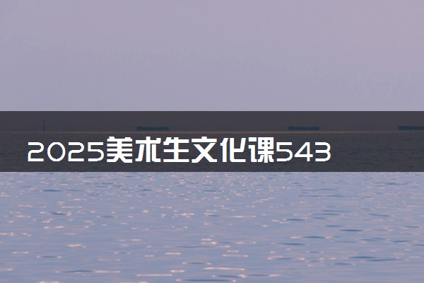 2025美术生文化课543分能上天津理工大学吗