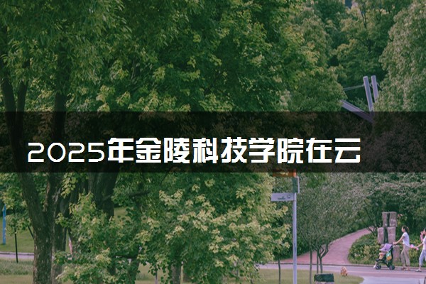 2025年金陵科技学院在云南招生代码及专业代码 金陵科技学院云南代码是多少？怎么查询？