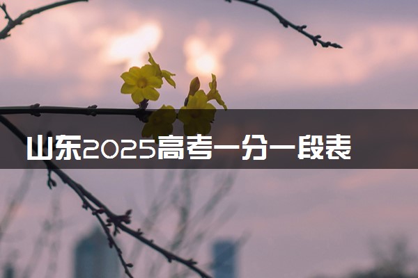 山东2025高考一分一段表 附位次对照表查询官网