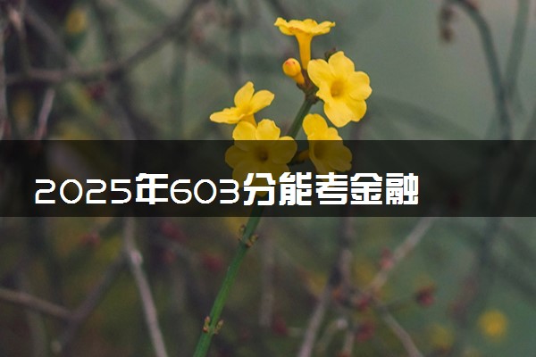 2025年603分能考金融学类专业吗 603分金融学类专业大学推荐