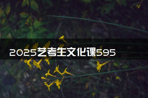 2025艺考生文化课595分能上湖南师范大学吗