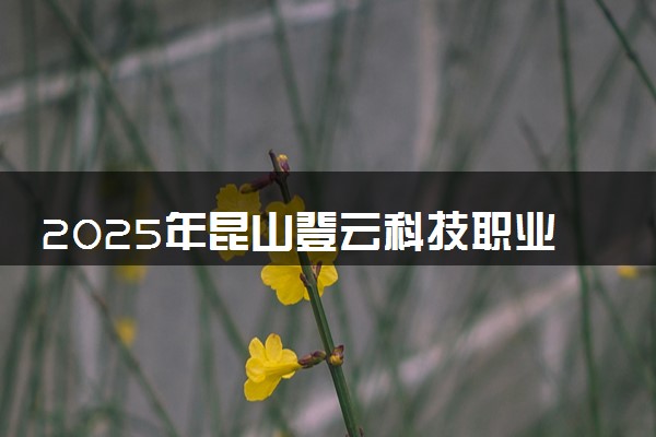 2025年昆山登云科技职业学院在山东招生代码：D963 专业代码及报考指南