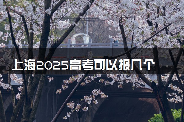 上海2025高考可以报几个学校和专业 各批次志愿数量汇总