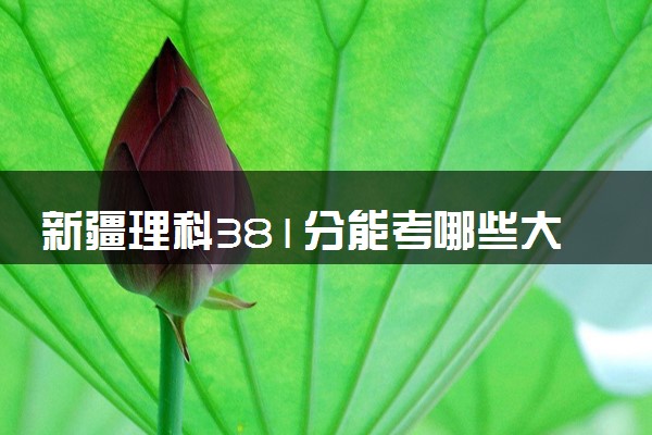 新疆理科381分能考哪些大学 2025考生稳上的大学名单
