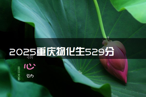 2025重庆物化生529分左右能上什么大学 可以报考的院校名单