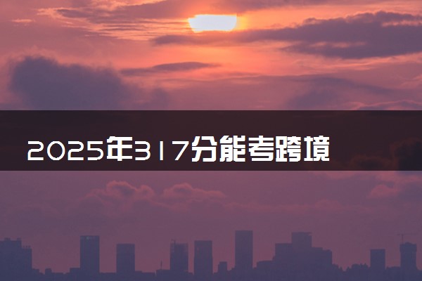 2025年317分能考跨境电子商务专业吗 317分跨境电子商务专业大学推荐