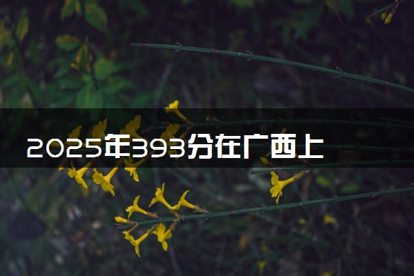 2025年393分在广西上什么大学好 近三年录取分数线是多少