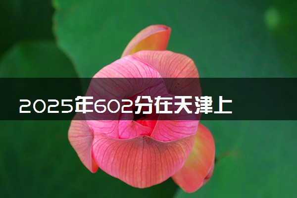 2025年602分在天津上什么大学好 近三年录取分数线是多少