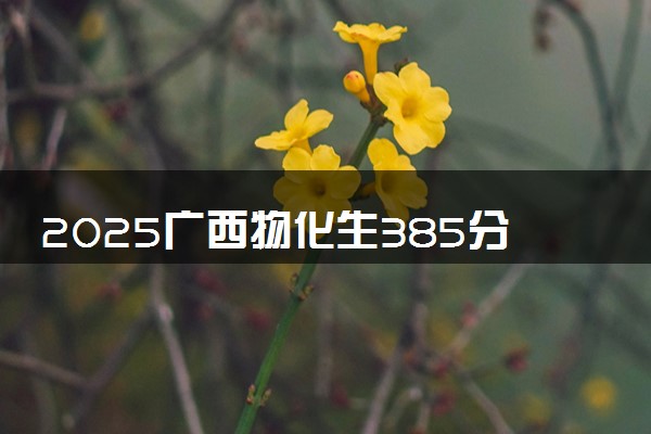 2025广西物化生385分左右能上什么大学 可以报考的院校名单