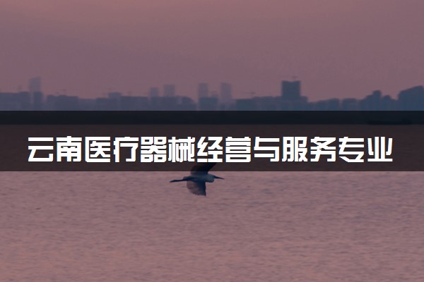 云南医疗器械经营与服务专业各大学录取分数线：最低410分能上 开设院校及位次