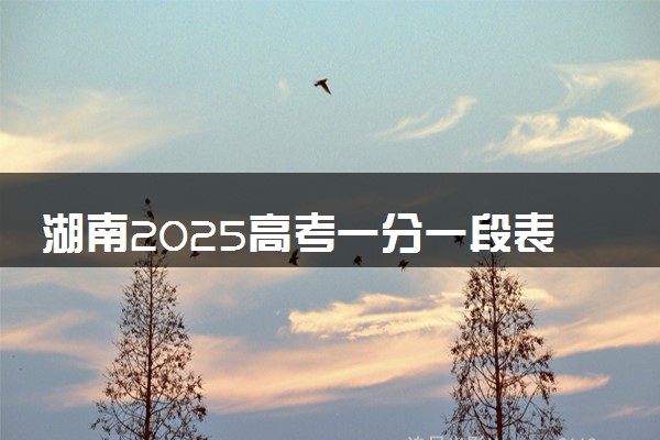 湖南2025高考一分一段表位次汇总 新高考如何看排名