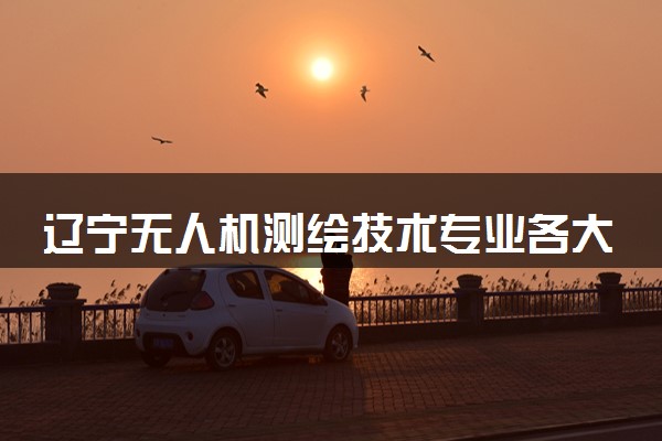 辽宁无人机测绘技术专业各大学录取分数线：最低322分能上 开设院校及位次
