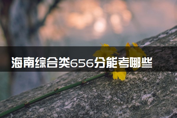 海南综合类656分能考哪些大学 2025考生稳上的大学名单